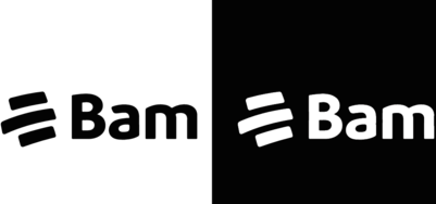 BAM logo nuevo