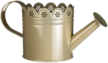 Country Style Watering Can