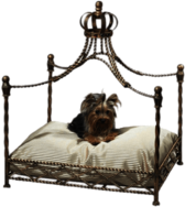 Pet Canopy Bed