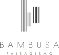 Bambusa