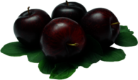 Four Plums