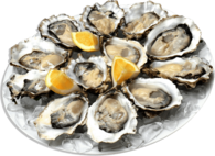 Oysters