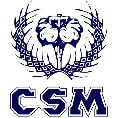 COLÉGIO SANTA MARCELINA / MURIAÉ / MINAS GERAIS