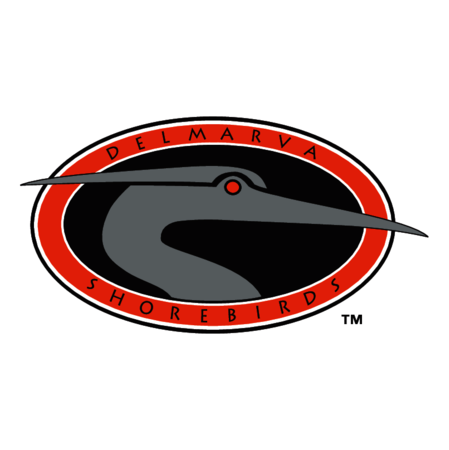 Delmarva Shorebirds