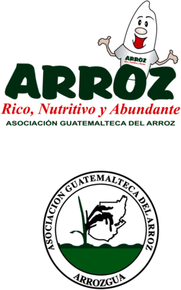 Arrozgua Guatemala