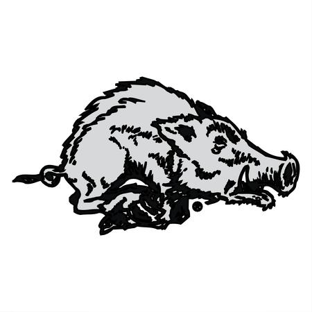 Arkansas Razorback