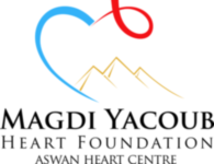 Aswan Heart Centre Magdi Yacoub