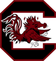 South Carolina Gamecocks