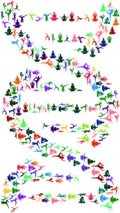 DNA Helix Yoga