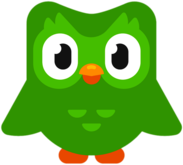 Duolingo logo thumbnail