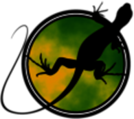 iguana tasarim ve tanitim hizmetleri ltd.sti.