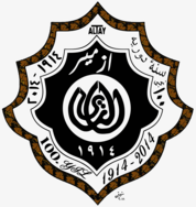 ALTAY 100.YIL FRAMED