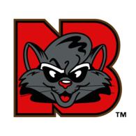 New Britain Rock Cats