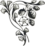 A Retro Bouquet Of Berries