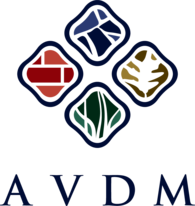 AVDM