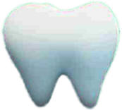 Tooth Illustration