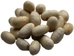 Silkworm Cocoons