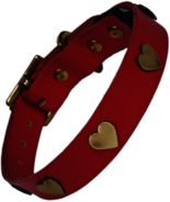 Golden Hearts Dog Collar