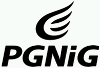 PGNiG