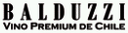 Balduzzi