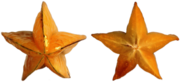 Starfruit on Its Side