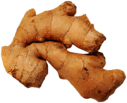 Ginger Root