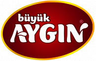 Aygın