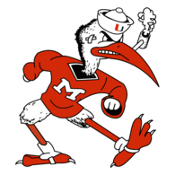 University of Miami Hurricanes