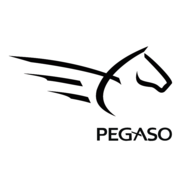 Pegaso