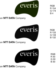 everis NTT DATA