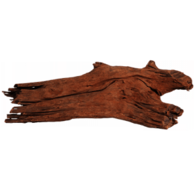 Aquarium Driftwood