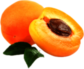 Apricot Open