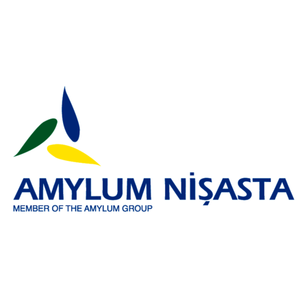 Amylum Nisasta
