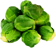 Brussels Sprouts