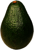 Avocado