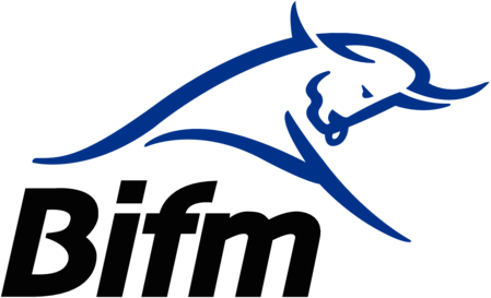 BOTSWANA HOLDINGS LIMITED