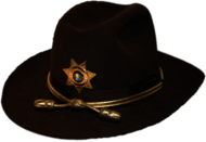 Brown Sheriff's Hat