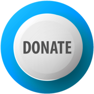 Donate Blue and White Button