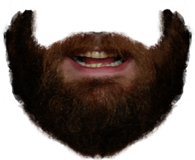 Beard and Mouth