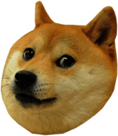 Doge Head