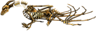 Dragon Horned Skeleton