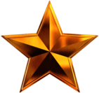 Gold Star 5 Branches