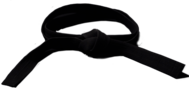 Karate Black Belt