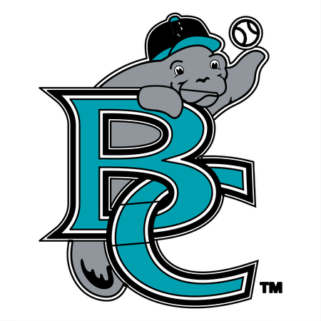 Brevard County Manatees