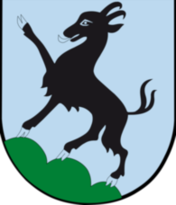 Kitzbuehel Goat