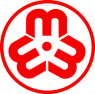 All China Womens Federation