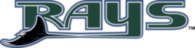 Tampa Bay Devil Rays
