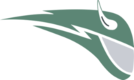 Portland State Vikings