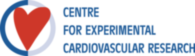 Centre For Experimental Cardiovascular Research