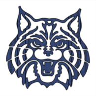 Arizona Wildcats 75974